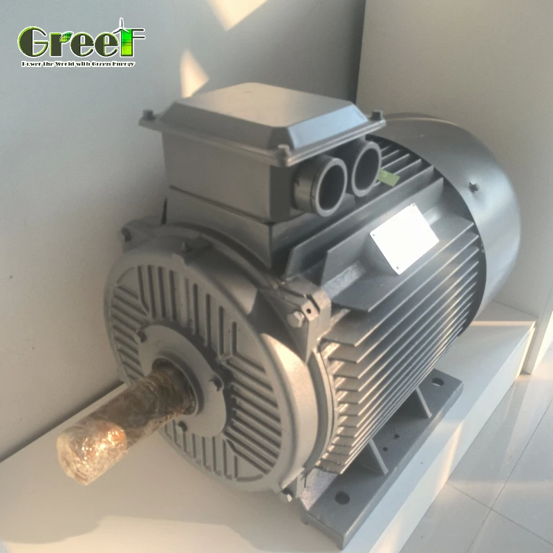 3phase AC Synchronous Motor Permanent Magnet Motor Rated Power 750W-5MW untuk aplikasi motor