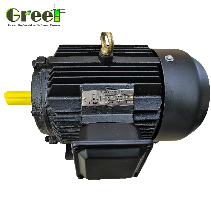50Hz Permanent Magnet 3 Phase AC Synchronous Motor dengan daya nominal 750W-5MW