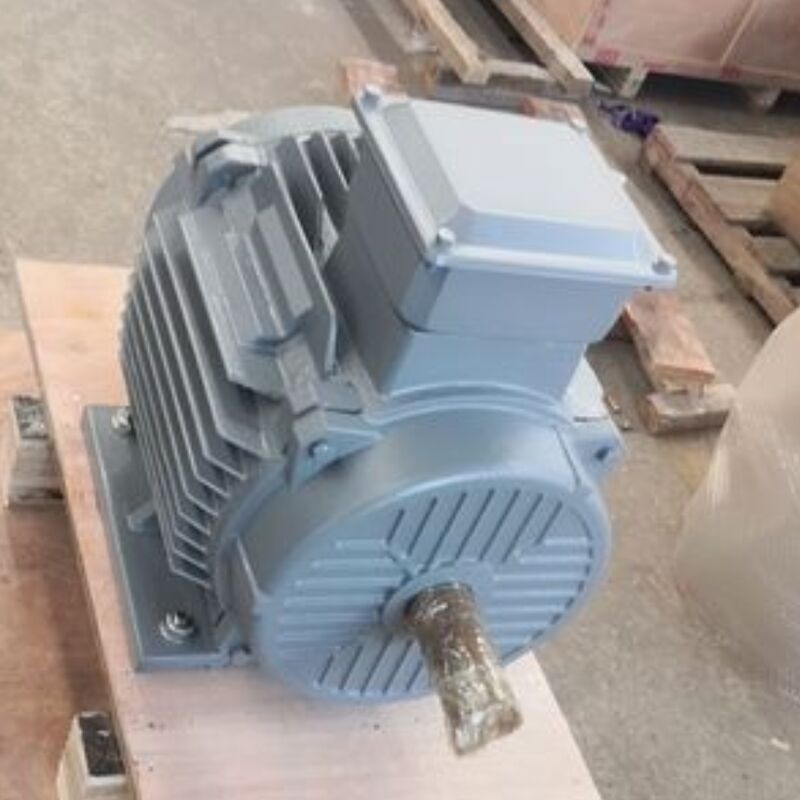 Motor Magnet Permanen Tanpa Sikat 24V-1140V Menawarkan Klasifikasi Derajat IP54 yang Dioptimalkan untuk Mesin Otomasi dan Solusi Energi