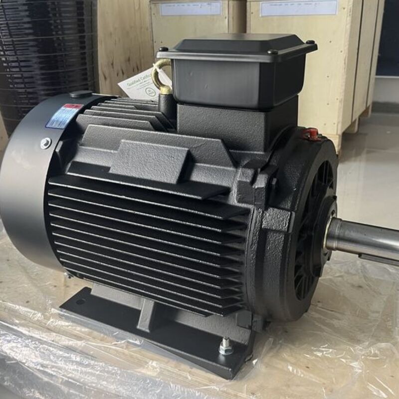 Motor Magnet Permanen Efisiensi Tinggi dengan Resistansi Isolasi Min 100Mohm, Kutub yang Dapat Disesuaikan, dan Bantalan SKF
