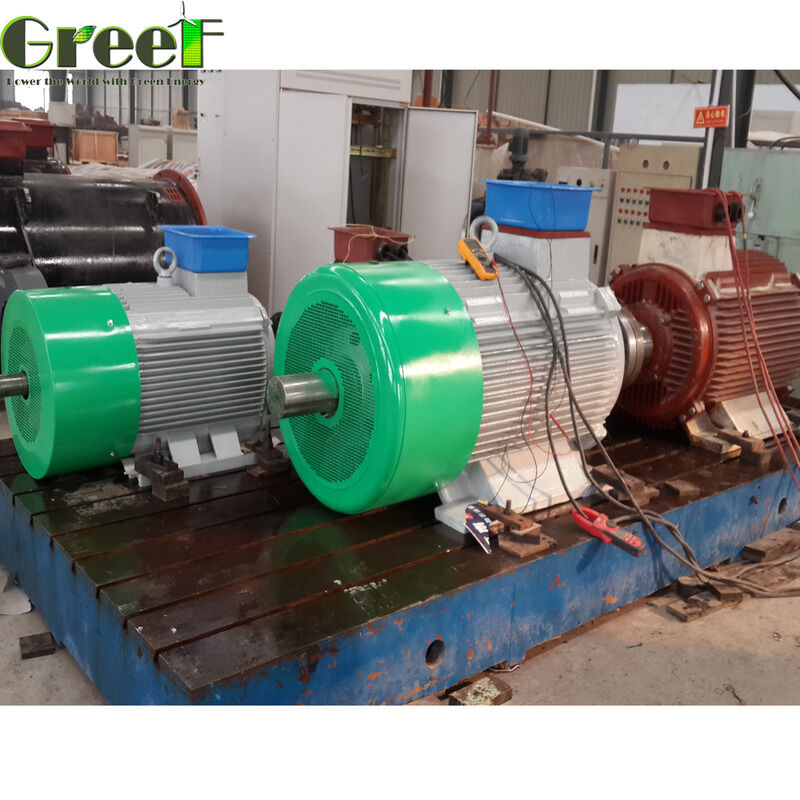 Efisiensi Di Atas 95 Persen Daya Tetap Motor Magnetik 750w 5Mw Direkayasa untuk Kinerja dalam Manufaktur dan Pemrosesan