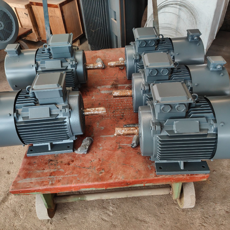 Motor sinkron magnet permanen suhu rendah dengan isolasi kelas F dan perlindungan IP55