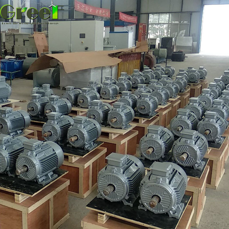 1MW 380Vac Free Energy Low Start Torque Generator Turbin Hidro 5MW PMG